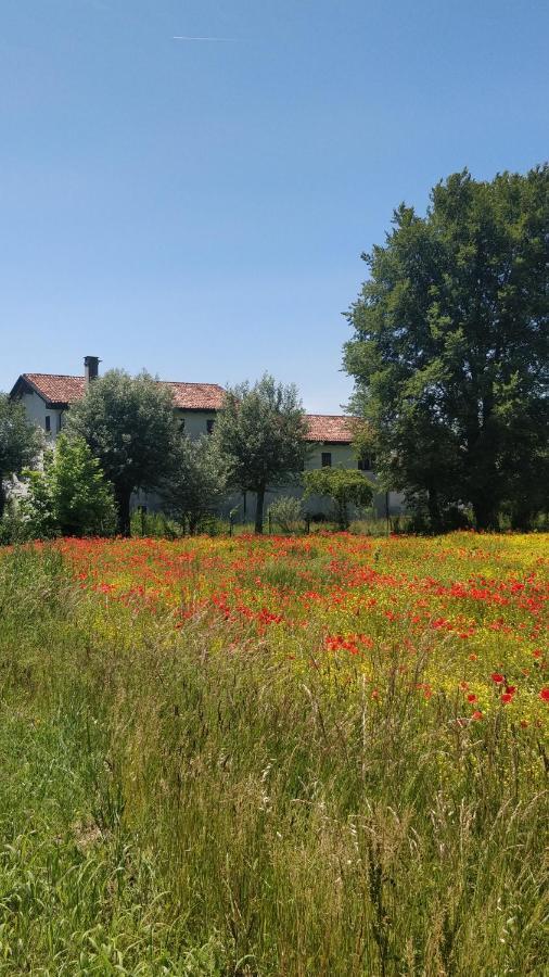 Porte Di Venezia, Tessera Aeroporto Favaro Veneto Ngoại thất bức ảnh